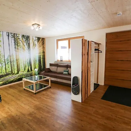 Appartement Daheim Im Geissetal à St. Blasien Extérieur photo