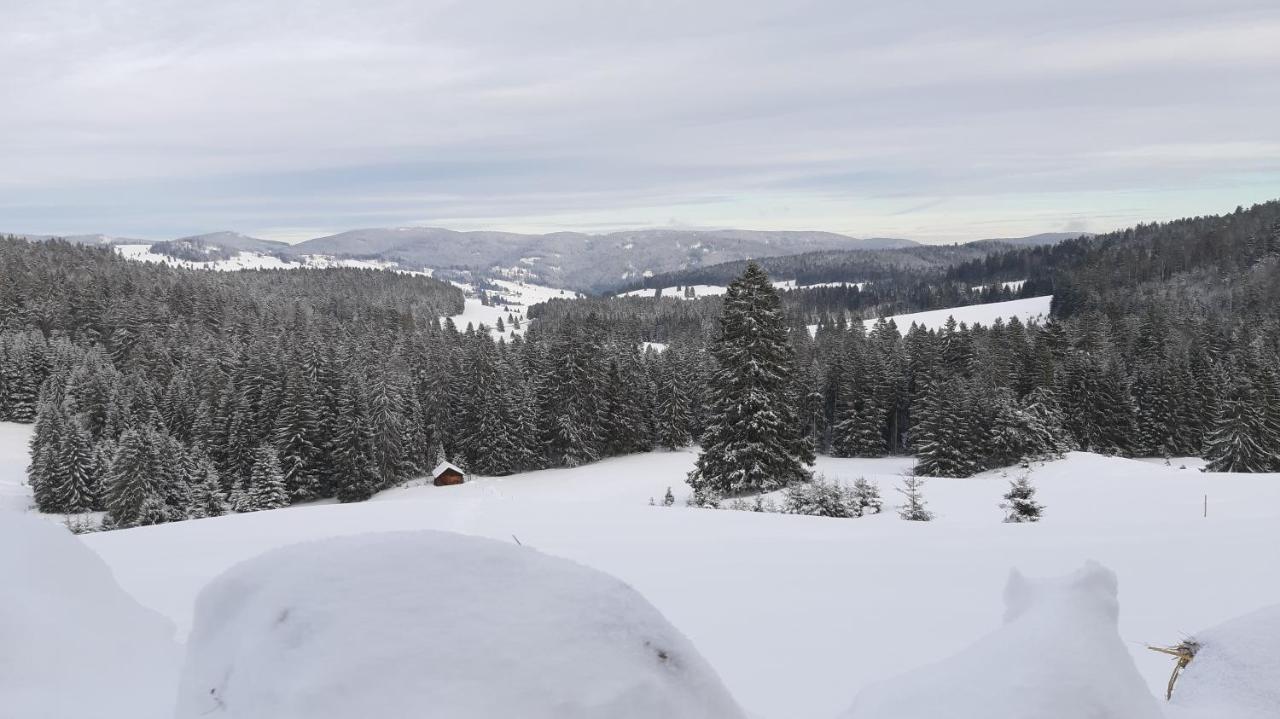 Daheim Im Geissetal *